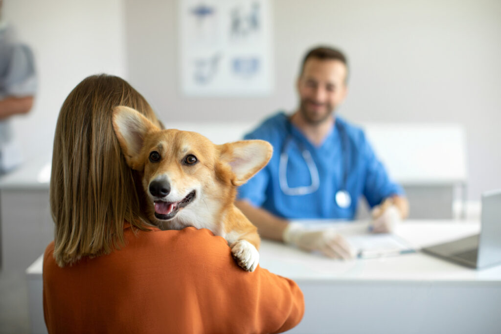 A happy dog is held by a woman at a vet's office. A smiling veterinarian sits at a desk in the background.
