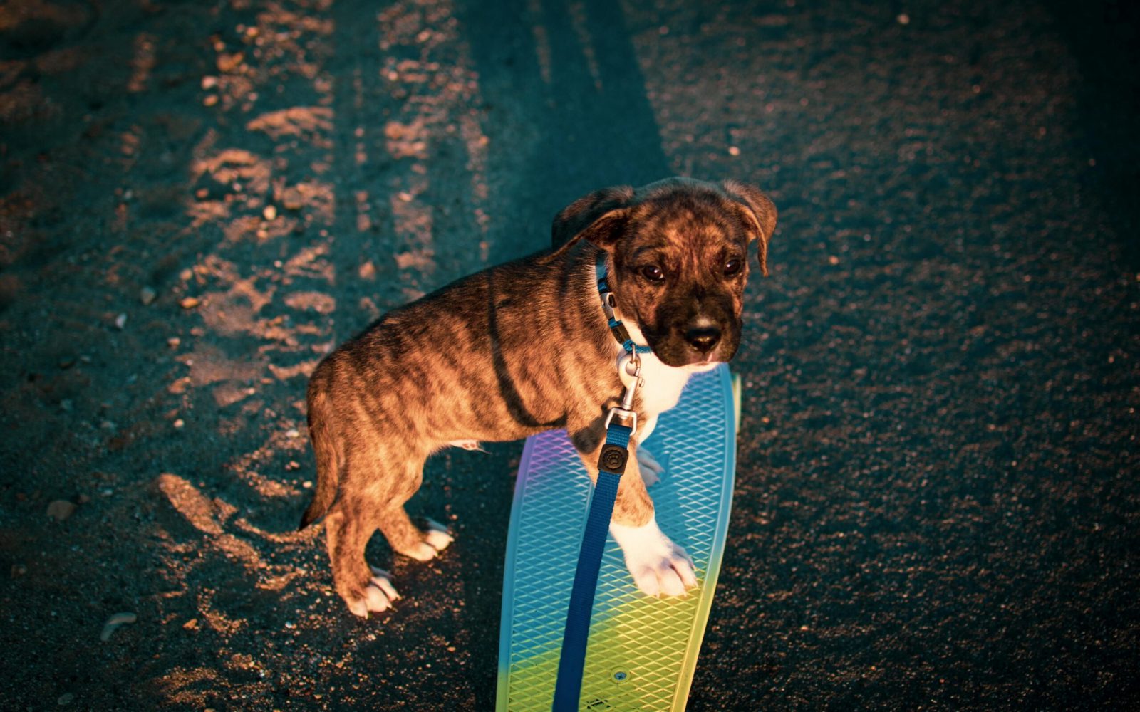 pexels-zante-3222489